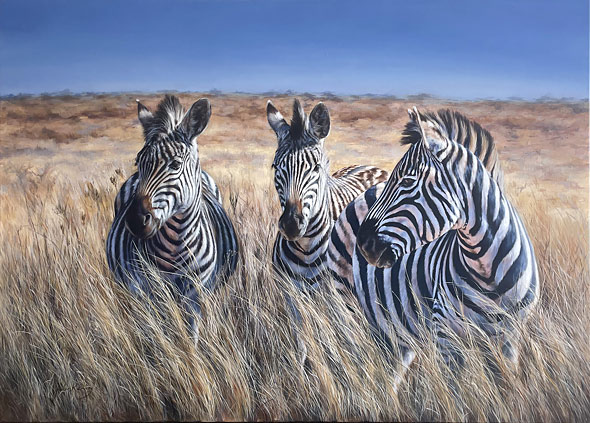 Jules Kesby wildlife artist, Zebras oil painting